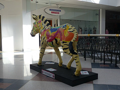 Zany Zebras_318 - 22 August 2016