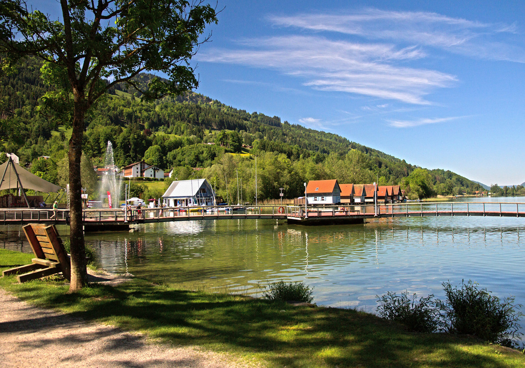 Am Großen Alpsee
