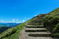 Wanderweg am Kronberg (© Buelipix)