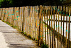 A Fence for Friday