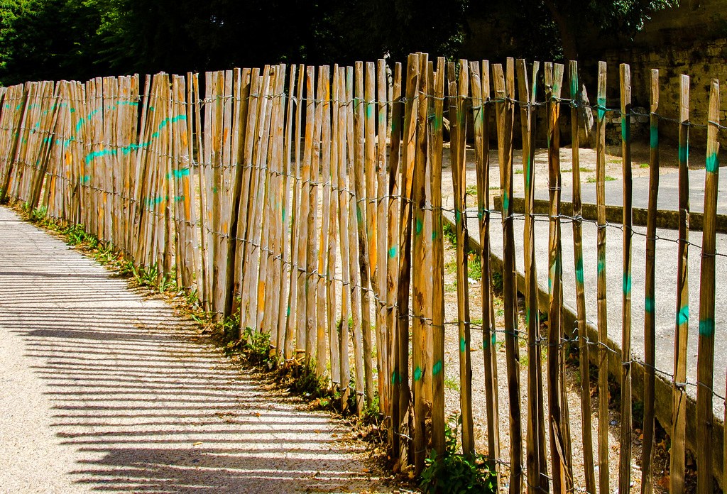 A Fence for Friday