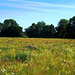 DE - Weilerswist - Floodplains of the Erft