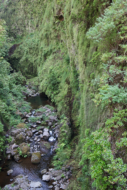 Rabaçal und die 25 Quellen (16) -  An der "Levada das 25 Fontes"