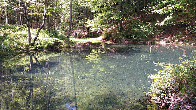 Schiebbach Stauwasser