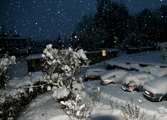 "Tausend kleine Lichter fallen vom Himmel"