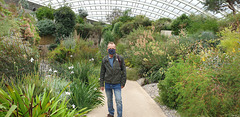 The Glasshouse