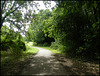 summer path through Grandpont