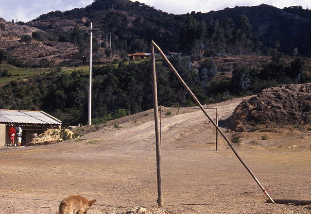 Columbia, Ecuador 1994