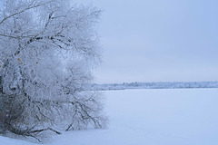 blue hour by the Lake 2