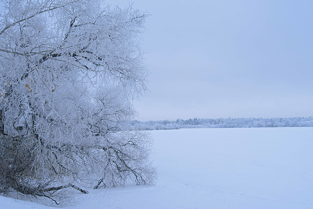 blue hour by the Lake 2