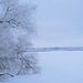 blue hour by the Lake 2