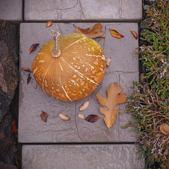 Rainy Autumn Day Rainy Autumn Day