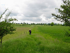 Footpath towards Higham on the Hill near Grange Farm