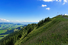 der Kronberg, Aussichts- und Wanderberg (© Buelipix)