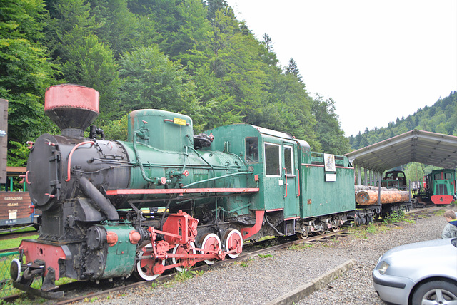 Bieszczadzka Forest Railway Lok-Kp41257