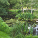 Pond cleared of weeds