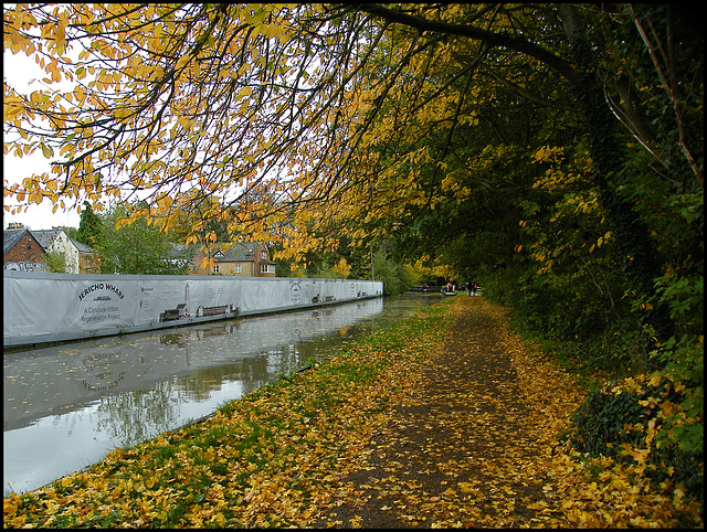 leaves along the canal path