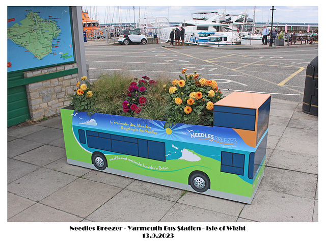 Needles Breezer planter Yarmouth IoW 13 9 2023