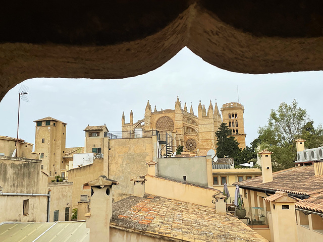 Palma cathedral 1