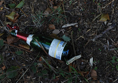 Next to me in the park Next to me in the park