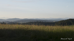 Morgenstimmung mit Ausicht in die Berge