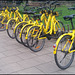 yellow bikes
