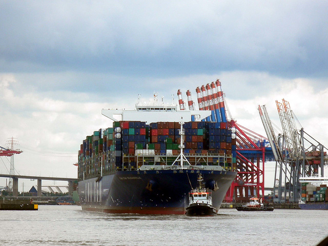 CMA CGM BOUGAINVILLE