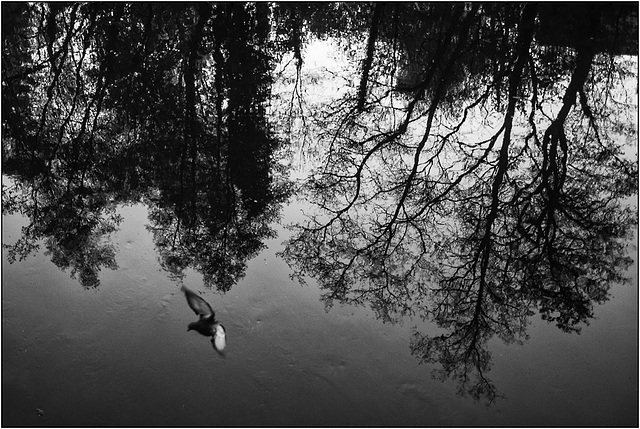 Reflets et silence ...