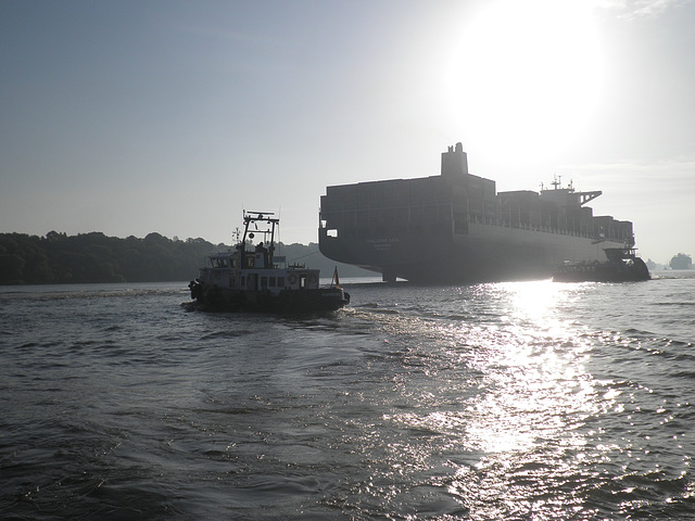 Containerriese THALASSA  AXIA auf der morgenlichen Elbe