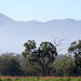 Great Dividing Range