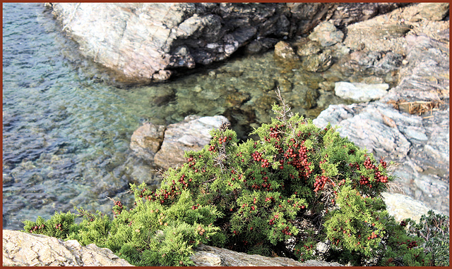 Six-Fours-les-Plages (83). 11 octobre 2014. Iles du Gaou.