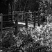 Fence at the Biss (B&W)
