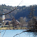 Blick zur Saltendorfer Kapelle