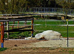 hFF.... Schimmel im Schlafzimmer :)