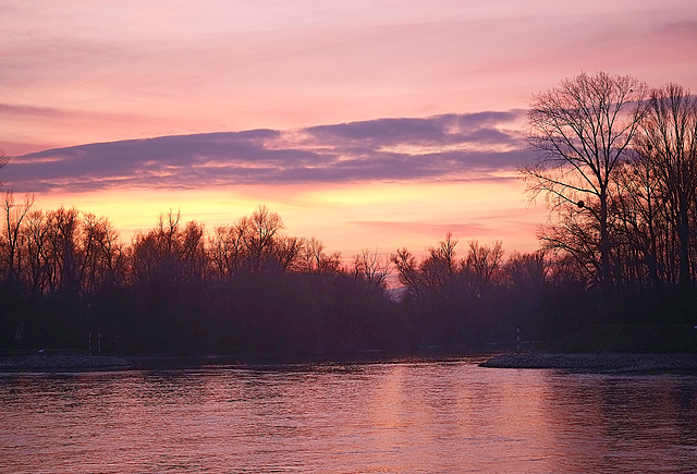 Abendstimmung am Rhein