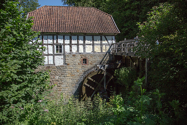 20140719 4264VRAw [D~LIP] HDR2  Freilichtmuseum Detmold