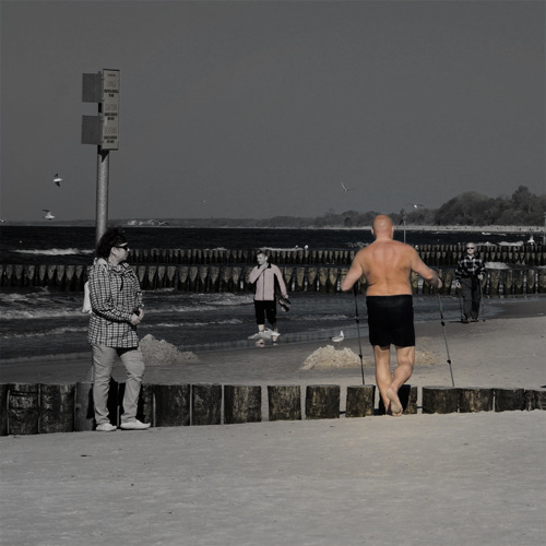 Beach Fence Walker