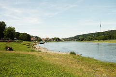 Die Elbe bei Dresden