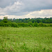 Higham on the Hill 013