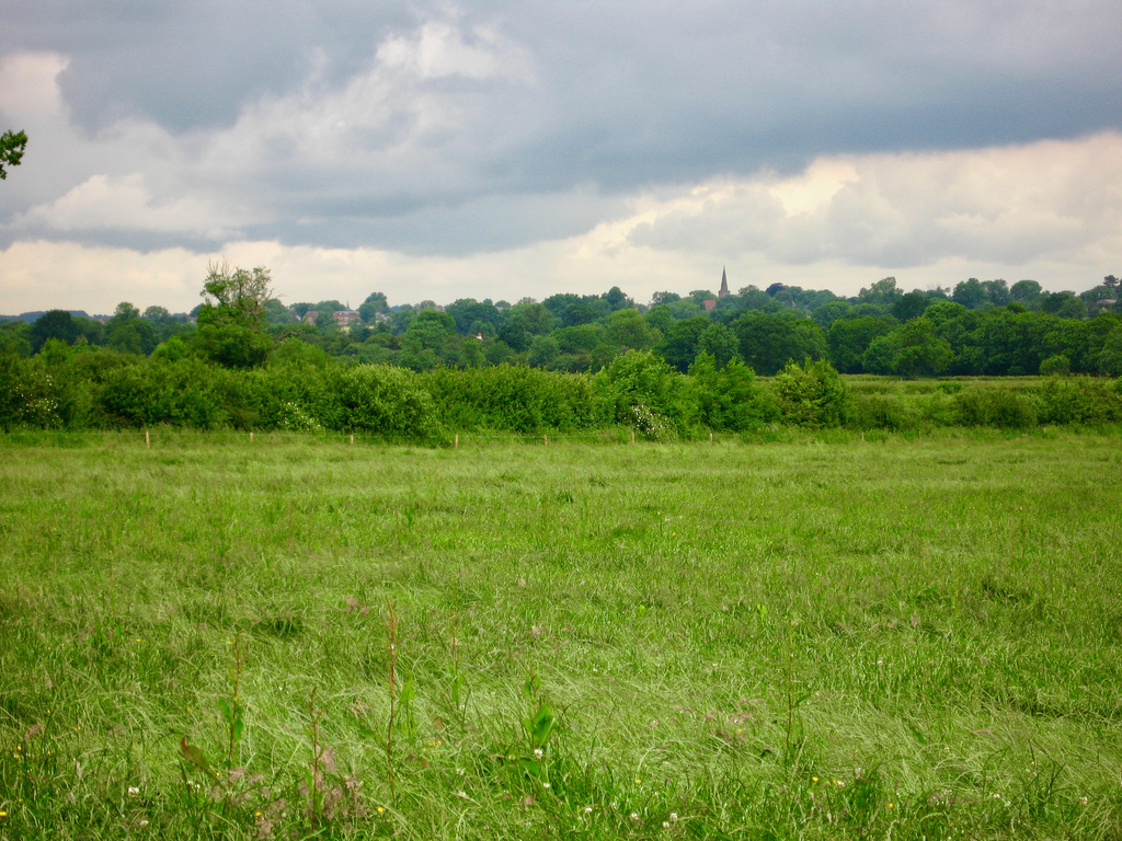 Higham on the Hill 013