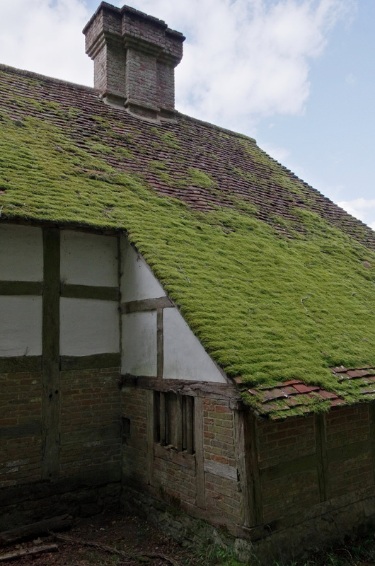 Mossy roof