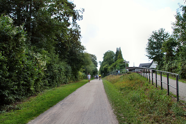 Radweg auf der ehem. Rheinischen Bahnstrecke (Essen-Altendorf) / 30.08.2020