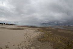 20140909 4931VRFw [NL] Strand, Terschelling