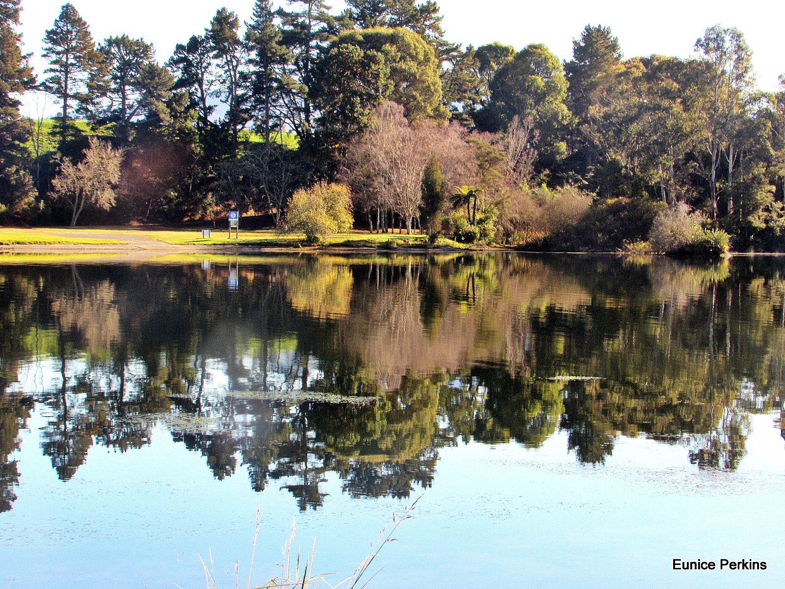 Jones Landing.