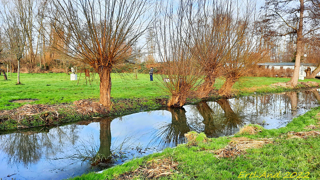 Mühlengraben im Skulpturenpark  Schwaan