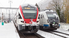 241121 Villeneuve RABe511 S-Bahn Stuttgart