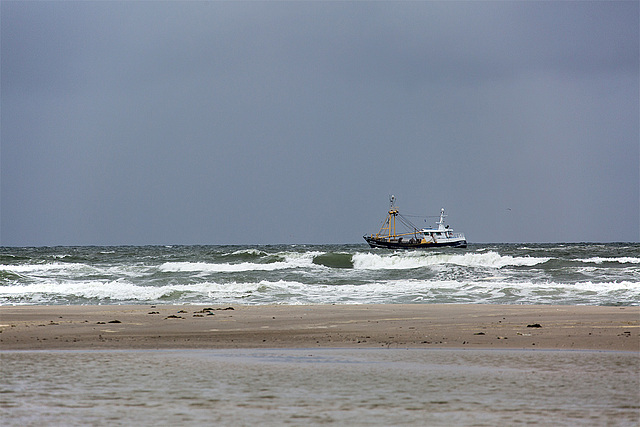 20140909 4930VRAw [NL] Schiff, Terschelling