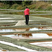 Travail du paludier