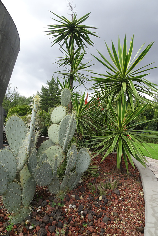 Gardens Of The Museo Del Caracol