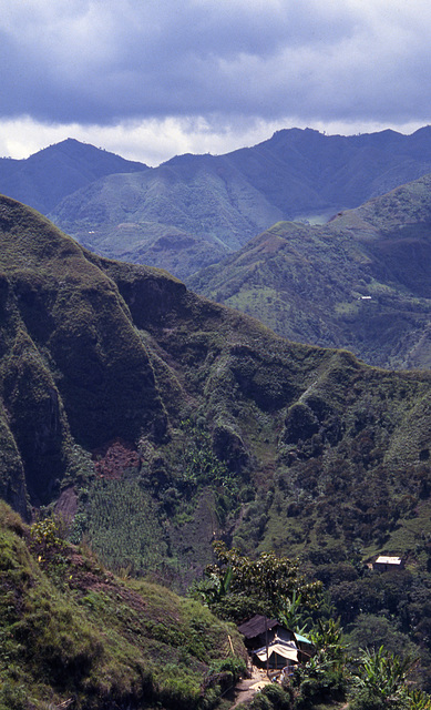 Columbia, Ecuador 1994